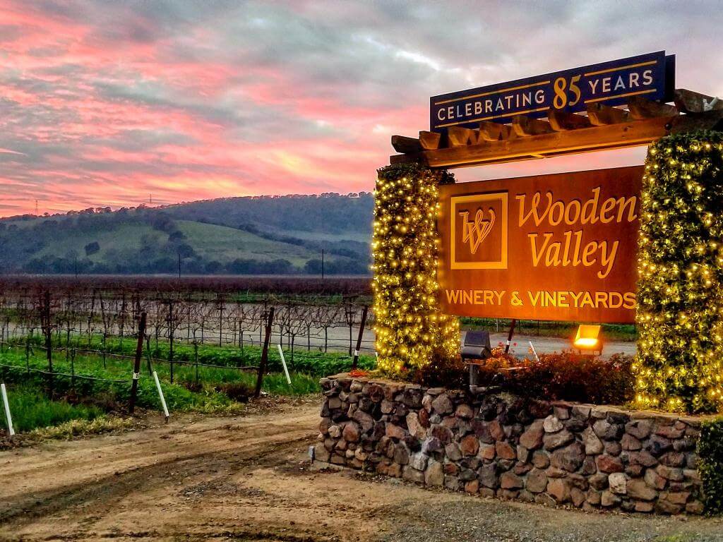 Wooden Valley wins Gold awards in SF Wine Competition